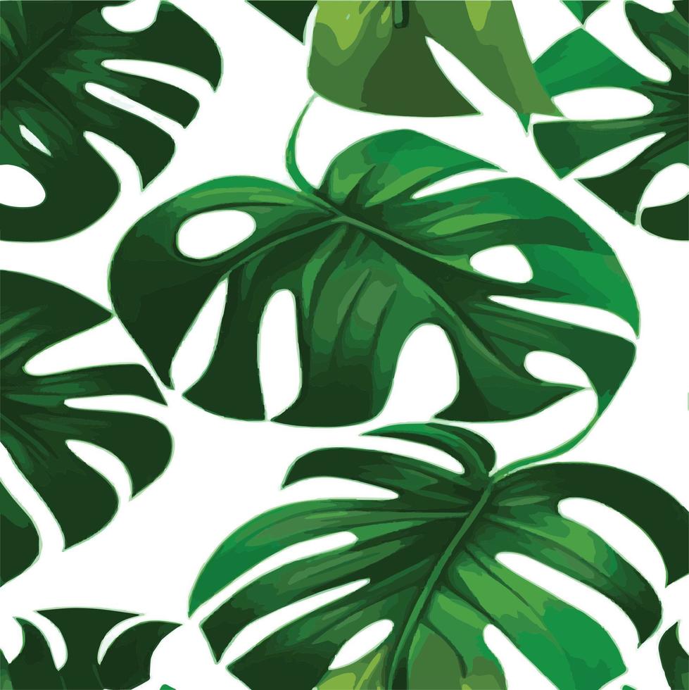 patrón de monstera verde fondo blanco. patrón exótico con hojas tropicales. ilustración vectorial patrón de hoja de monstera. hojas de palmeras tropicales. tela de diseño exótico, estampado textil, papel de regalo vector