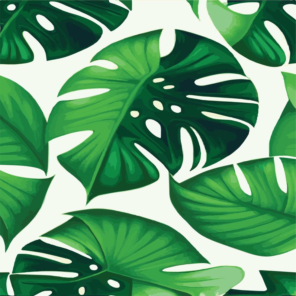 green monstera pattern white background. exotic pattern with tropical leaves. Vector illustration. monstera leaf pattern. Tropical palm leaves. Exotic design fabric, textile print, wrapping paper