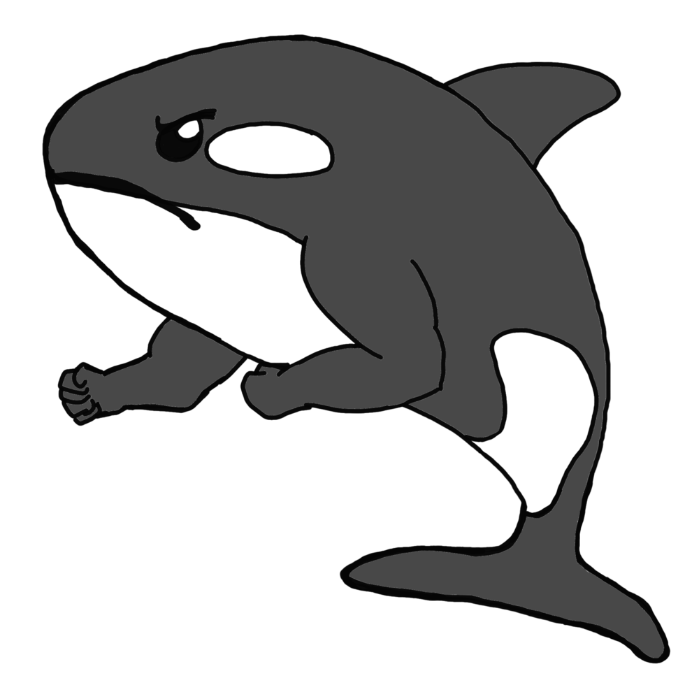 muscolare mare animale cartone animato - orca balena png