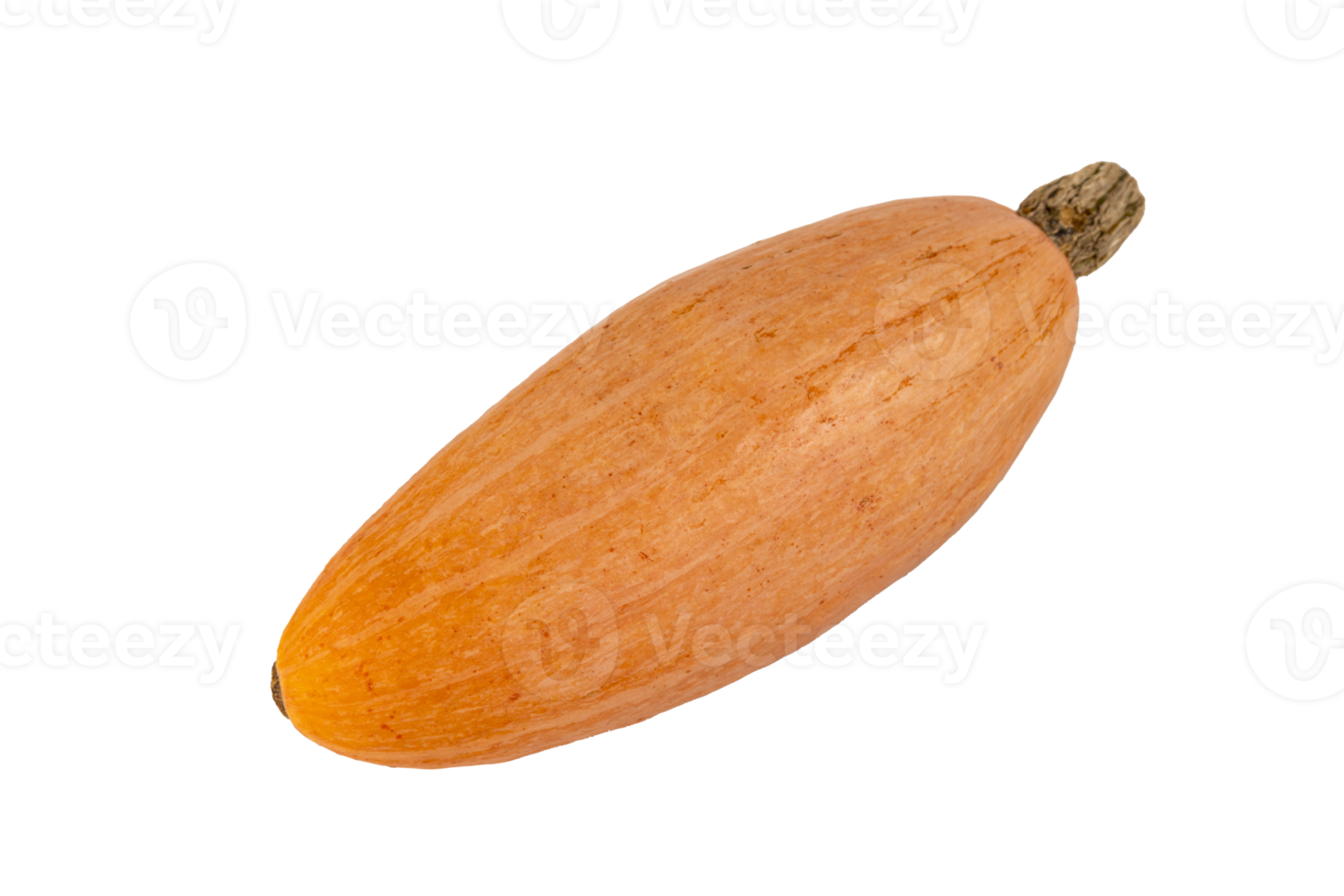 orange oval pumpa. png, transparent bakgrund. png