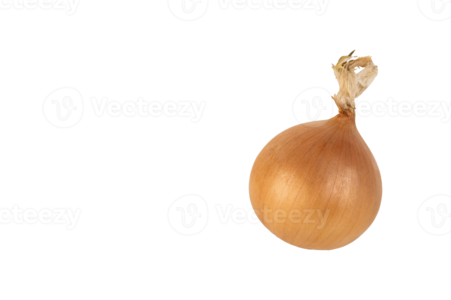 One large yellow onion bulb in the husk, PNG, transparent background