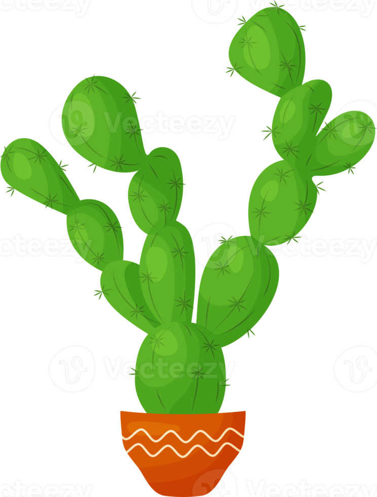 maceta. cactus verde png