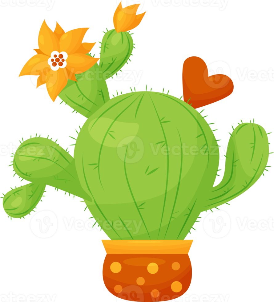 Flowerpot. green flowering cactus png