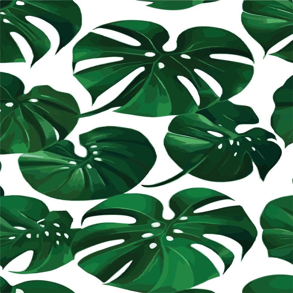 green monstera pattern white background. exotic pattern with tropical leaves. Vector illustration. monstera leaf pattern. Tropical palm leaves. Exotic design fabric, textile print, wrapping paper