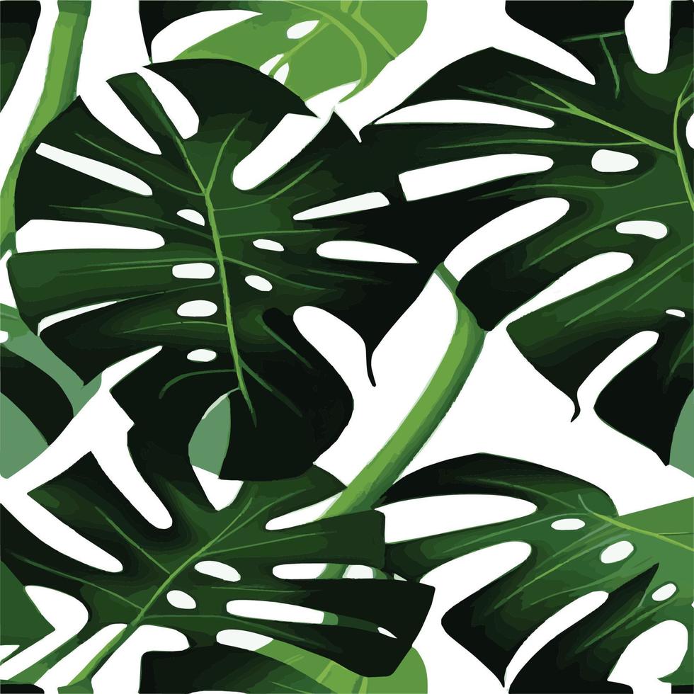 patrón de monstera verde fondo blanco. patrón exótico con hojas tropicales. ilustración vectorial patrón de hoja de monstera. hojas de palmeras tropicales. tela de diseño exótico, estampado textil, papel de regalo vector