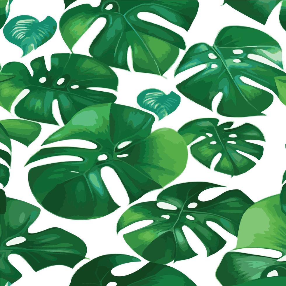 patrón de monstera verde fondo blanco. patrón exótico con hojas tropicales. ilustración vectorial patrón de hoja de monstera. hojas de palmeras tropicales. tela de diseño exótico, estampado textil, papel de regalo vector