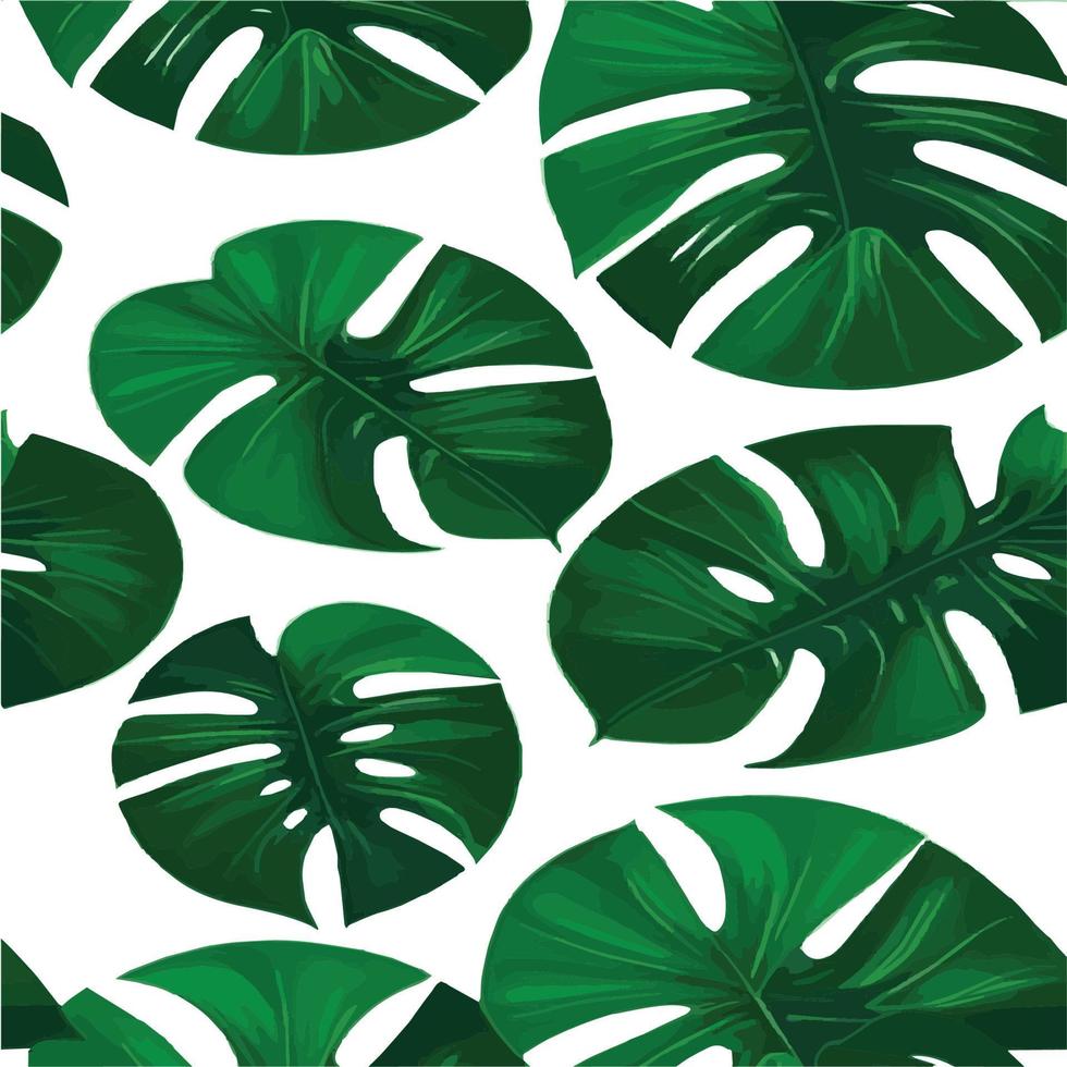 green monstera pattern white background. exotic pattern with tropical leaves. Vector illustration. monstera leaf pattern. Tropical palm leaves. Exotic design fabric, textile print, wrapping paper