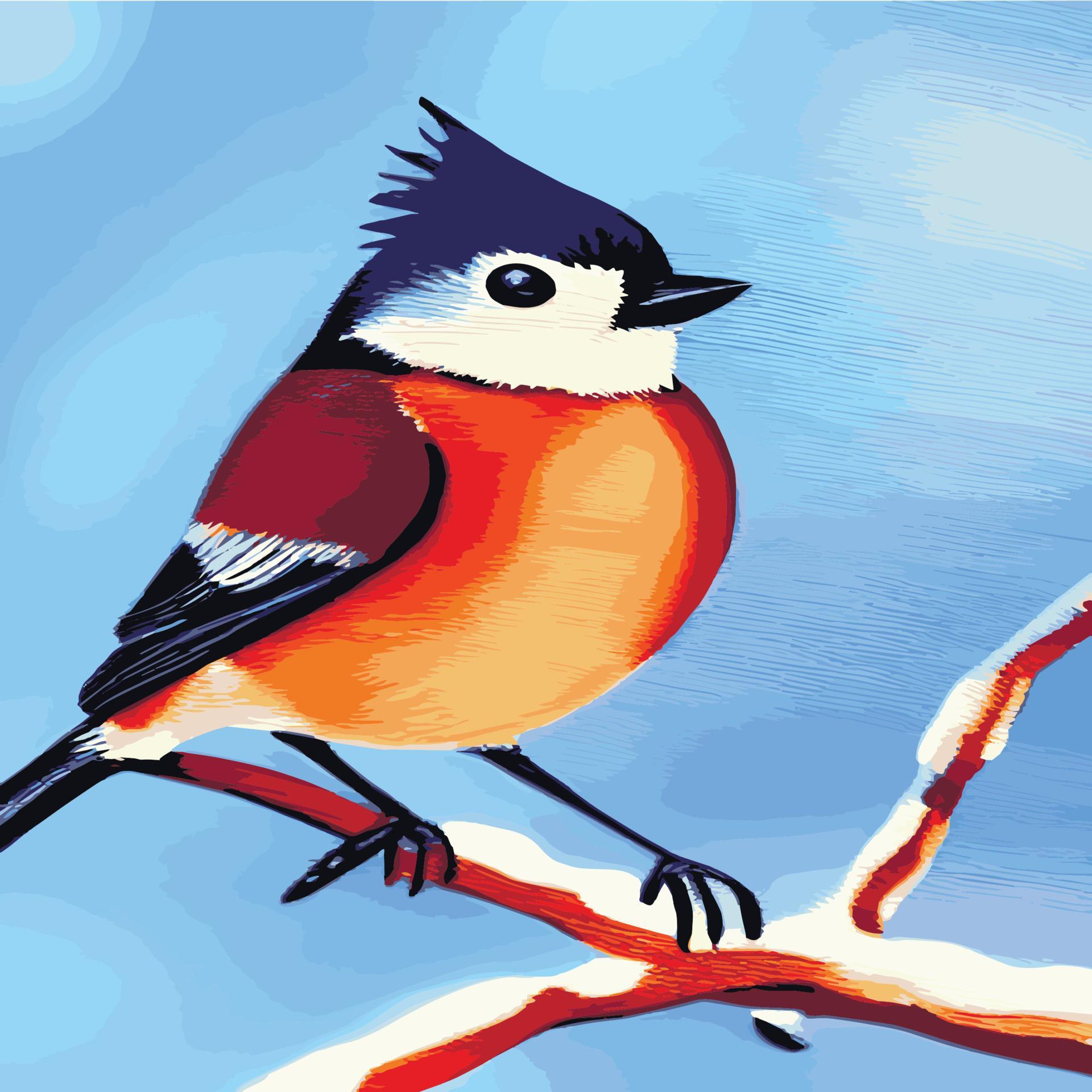 Vector realistic detailed vector illustration winter birds branches