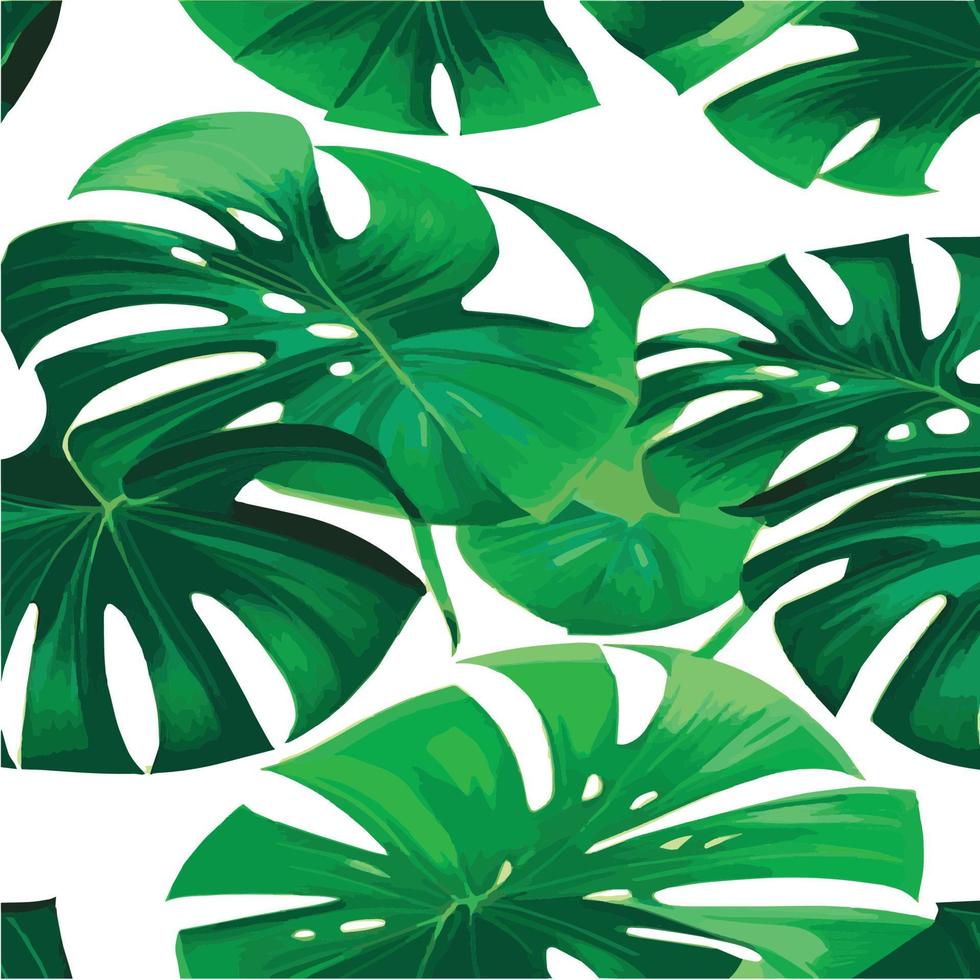 patrón de monstera verde fondo blanco. patrón exótico con hojas tropicales. ilustración vectorial patrón de hoja de monstera. hojas de palmeras tropicales. tela de diseño exótico, estampado textil, papel de regalo vector