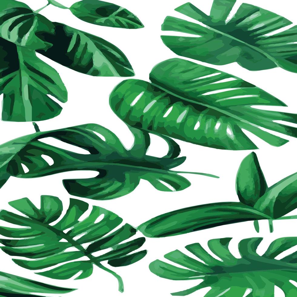 green monstera pattern white background. exotic pattern with tropical leaves. Vector illustration. monstera leaf pattern. Tropical palm leaves. Exotic design fabric, textile print, wrapping paper