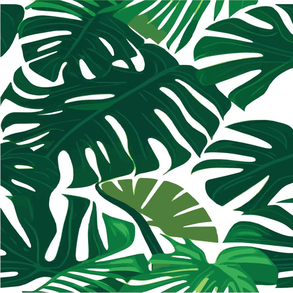 green monstera pattern white background. exotic pattern with tropical leaves. Vector illustration. monstera leaf pattern. Tropical palm leaves. Exotic design fabric, textile print, wrapping paper