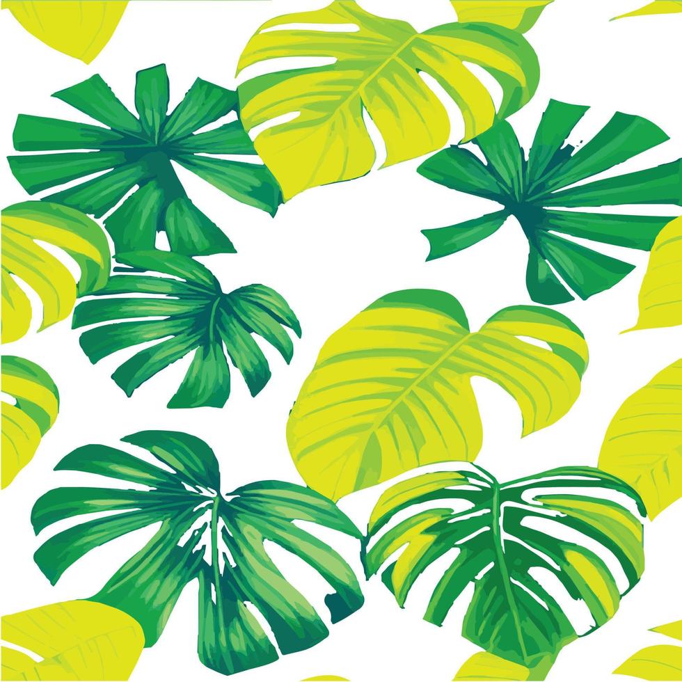 patrón de monstera verde fondo blanco. patrón exótico con hojas tropicales. ilustración vectorial patrón de hoja de monstera. hojas de palmeras tropicales. tela de diseño exótico, estampado textil, papel de regalo vector