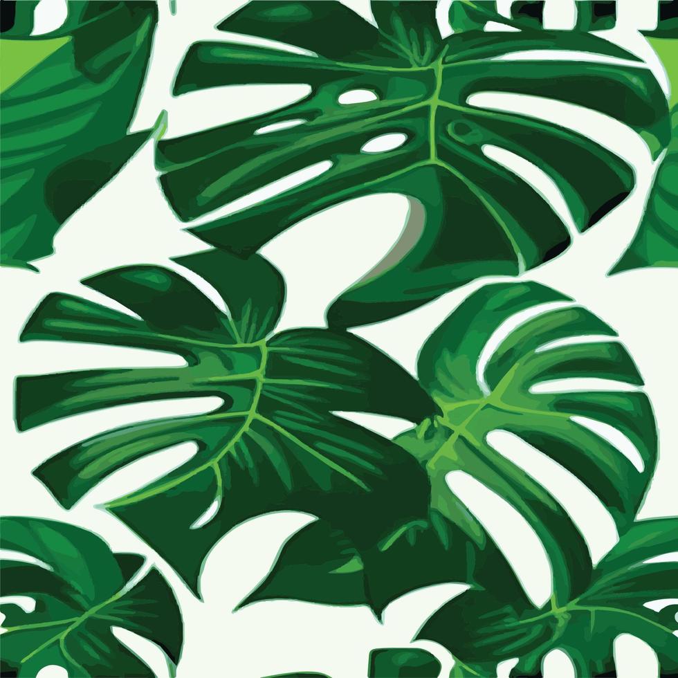 patrón de monstera verde fondo blanco. patrón exótico con hojas tropicales. ilustración vectorial patrón de hoja de monstera. hojas de palmeras tropicales. tela de diseño exótico, estampado textil, papel de regalo vector