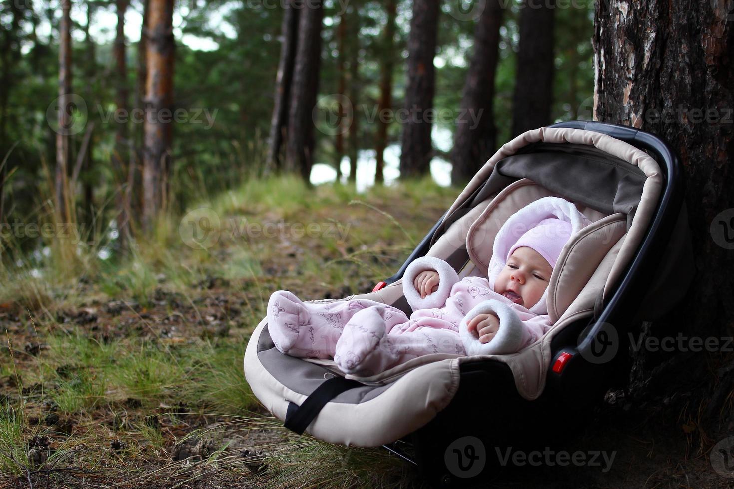 Cute three month child in car seat near a tree in a forest. photo