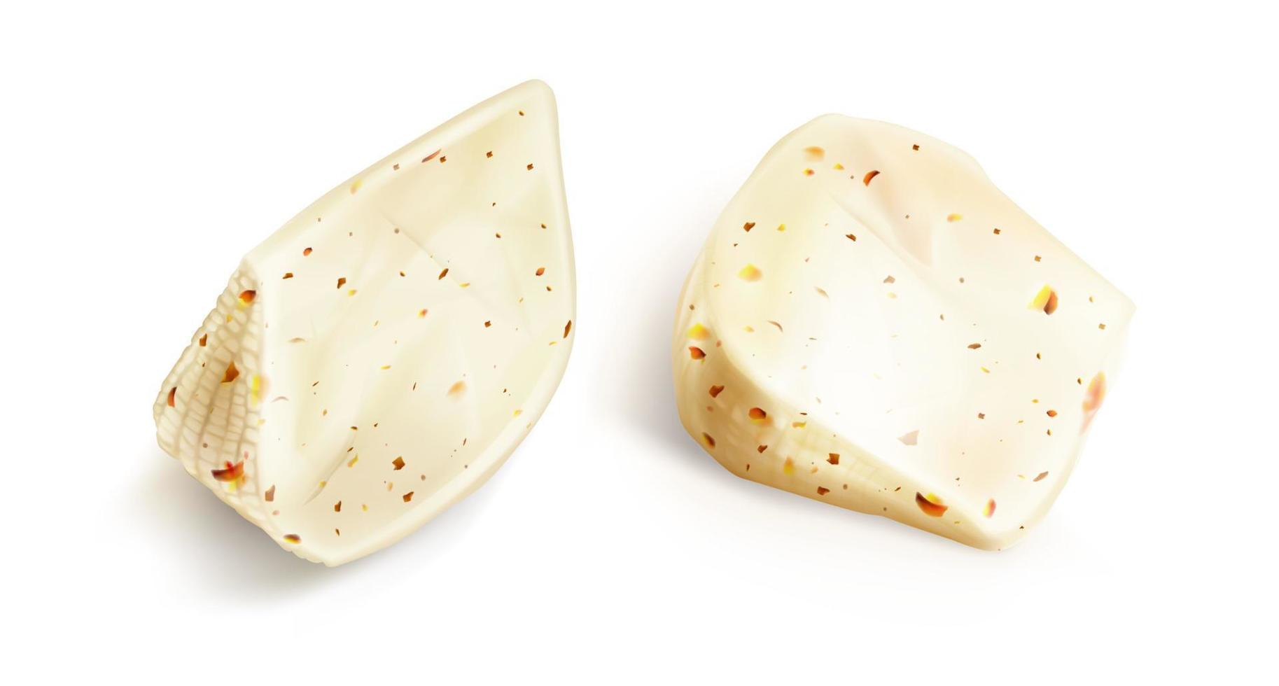 Fresh cheese triangle blocks with spices vector