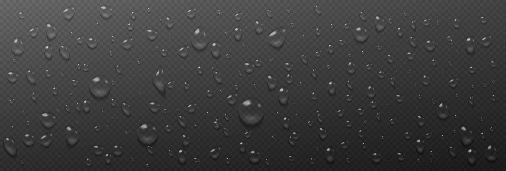 gotas de agua de condensación sobre fondo transparente vector