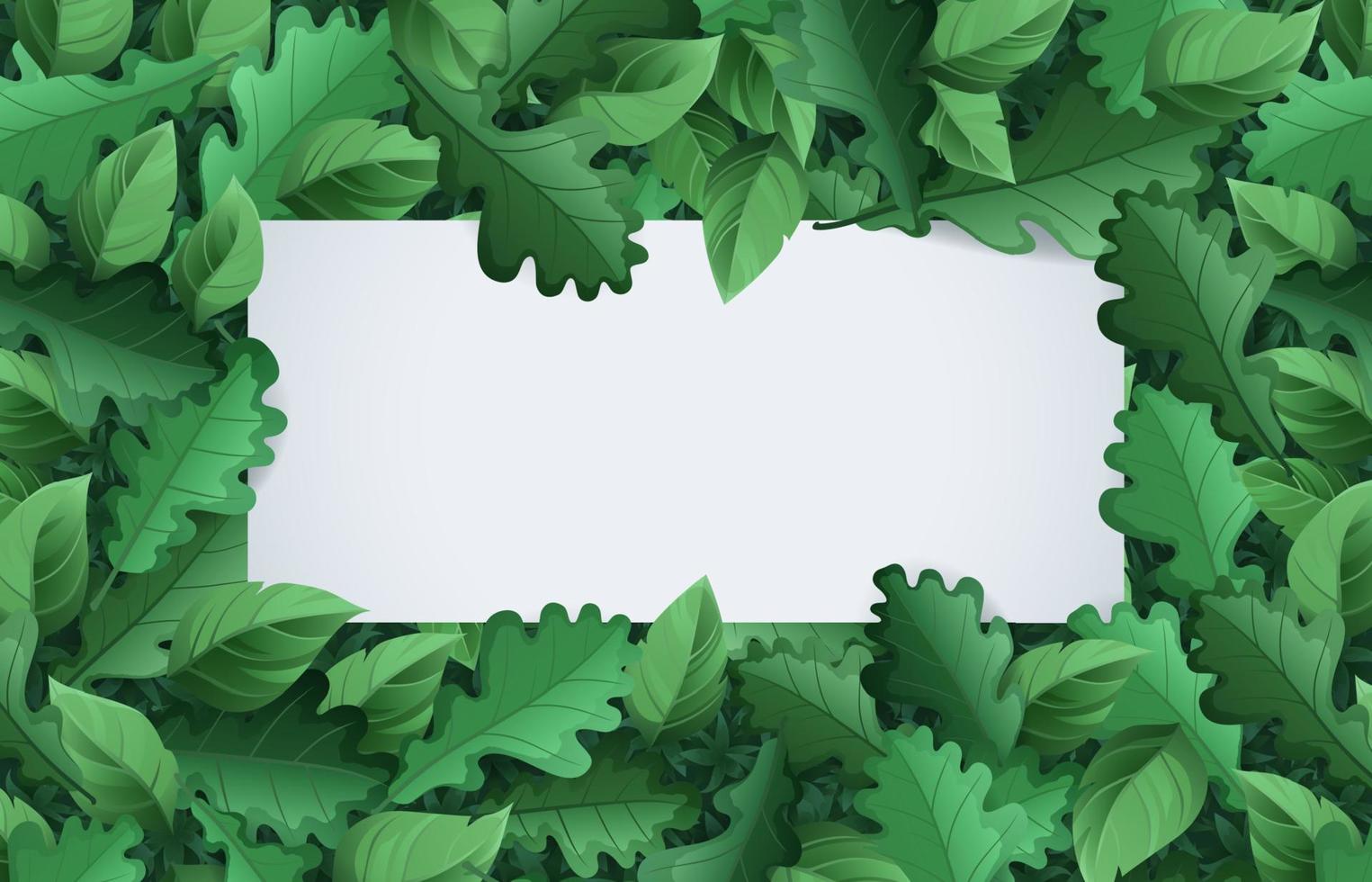 banner de primavera verano con marco de follaje verde vector