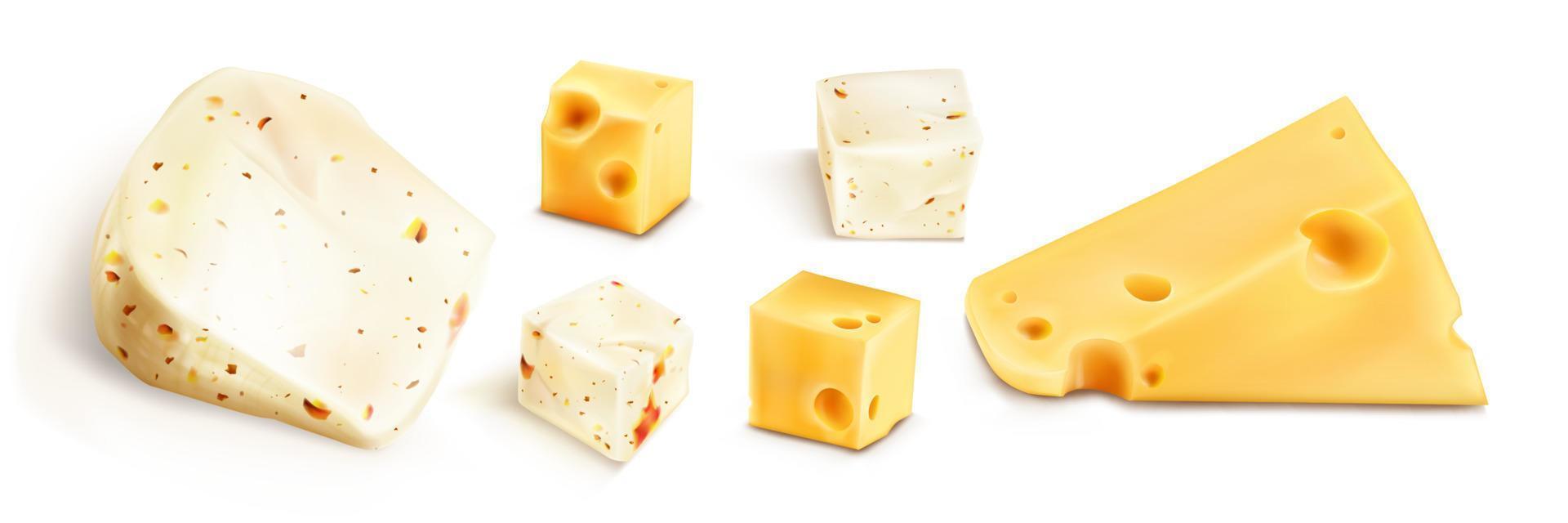 Fresh cheese blocks with spices vector