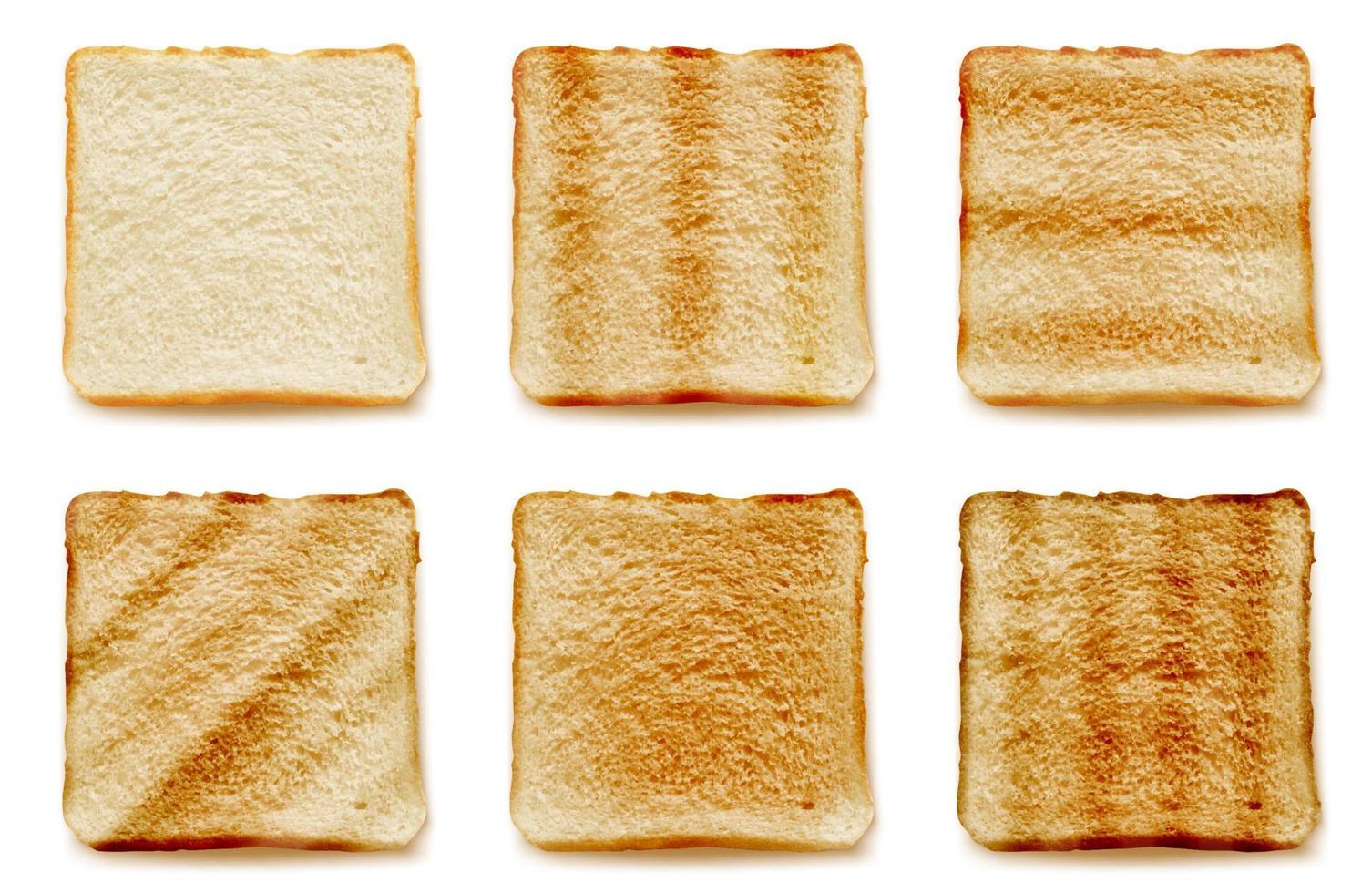 Toasted bread for sandwich 3D isolated vector