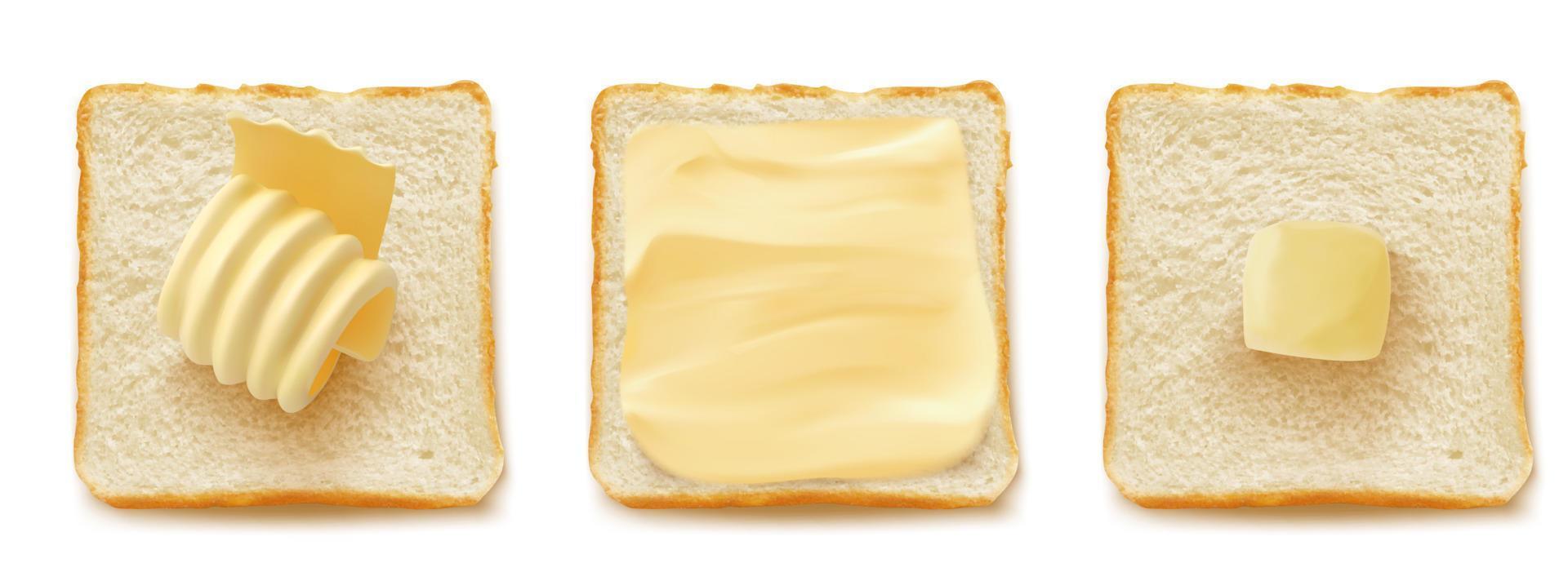 Square slices of bread with butter curl vector