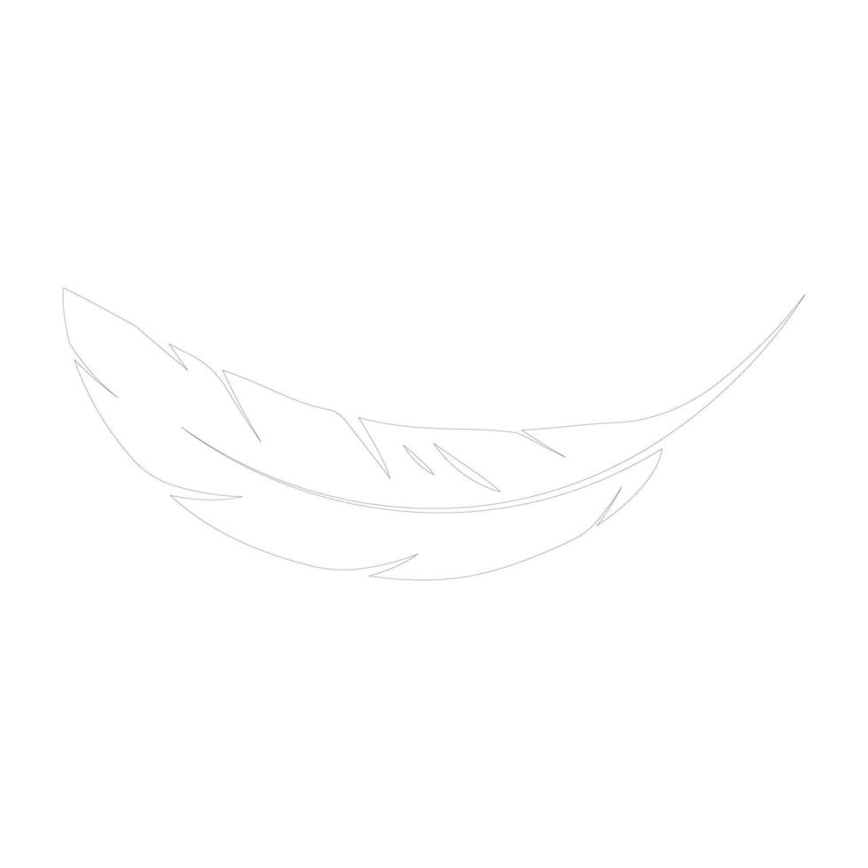 feather logo vektor vector