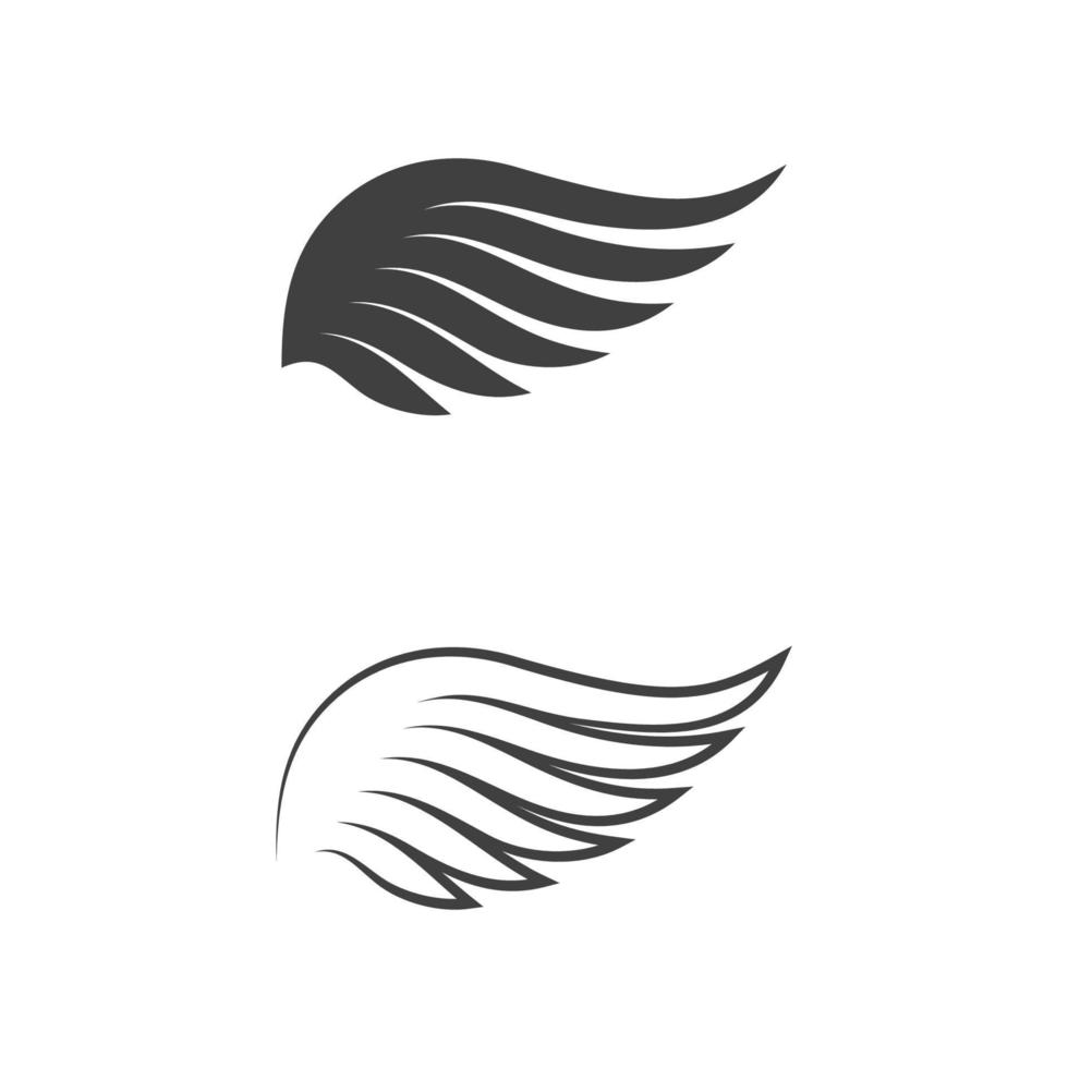 Falcon wing icon Template vector