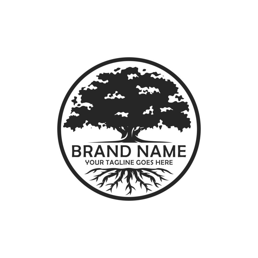Oak tree logo design vector