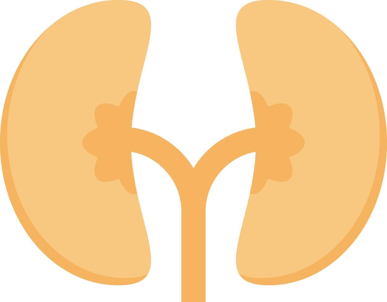 kidney vector illustration on a background.Premium quality symbols.vector icons for concept and graphic design.