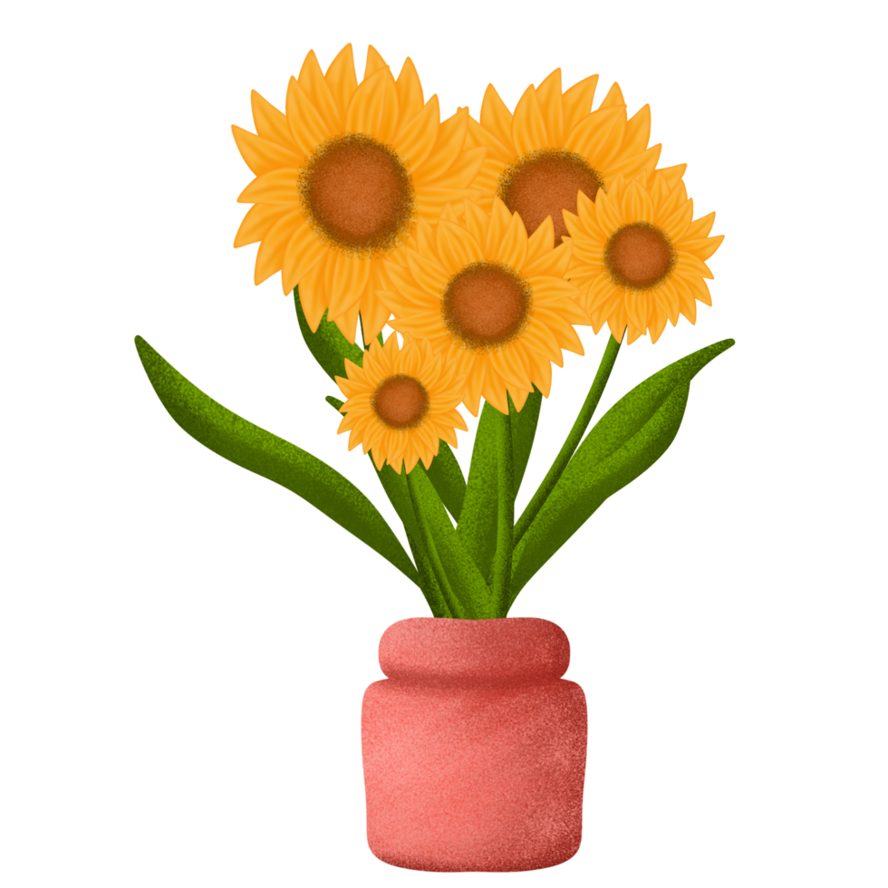 Sunflower in the pot png