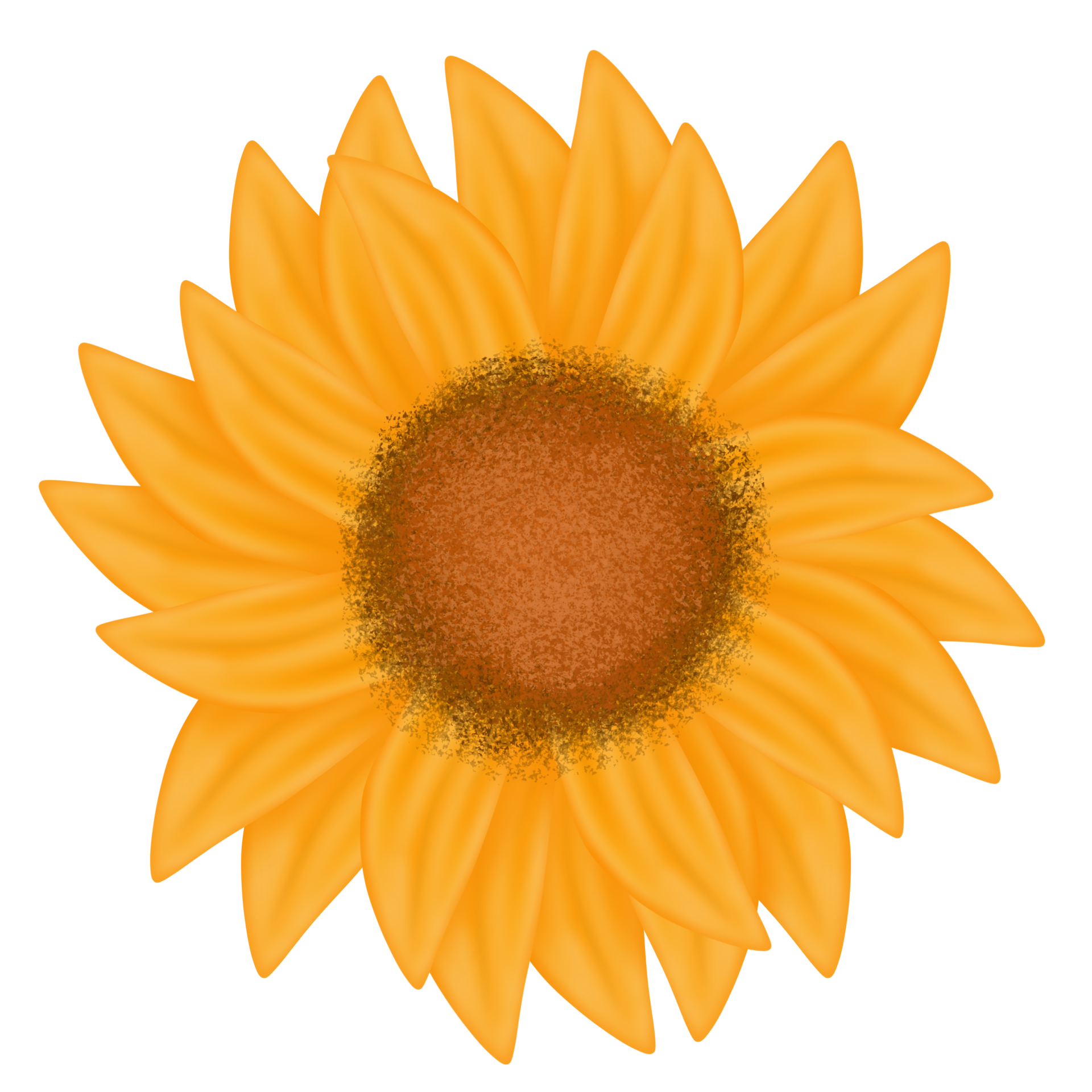 Sunflower petal illustration 13399661 PNG