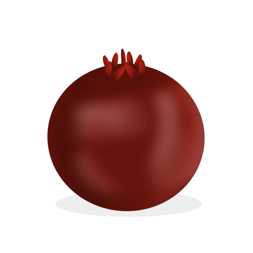 Pomegranate with shadow illustration png