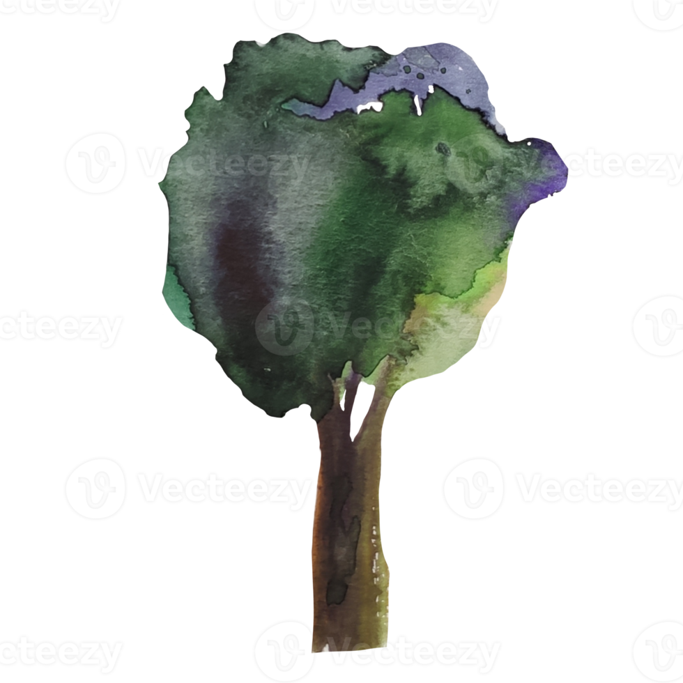 albero con foglie verdi acquerello illustrazione png