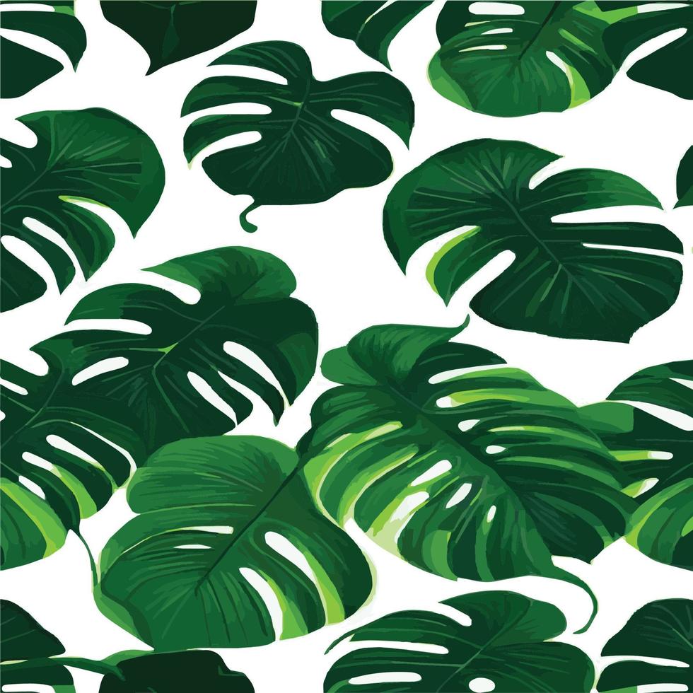 green monstera pattern white background. exotic pattern with tropical leaves. Vector illustration. monstera leaf pattern. Tropical palm leaves. Exotic design fabric, textile print, wrapping paper