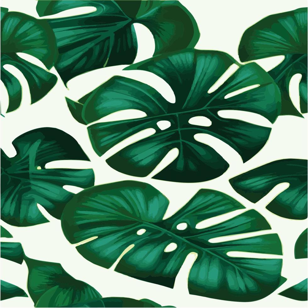 patrón de monstera verde fondo blanco. patrón exótico con hojas tropicales. ilustración vectorial patrón de hoja de monstera. hojas de palmeras tropicales. tela de diseño exótico, estampado textil, papel de regalo vector