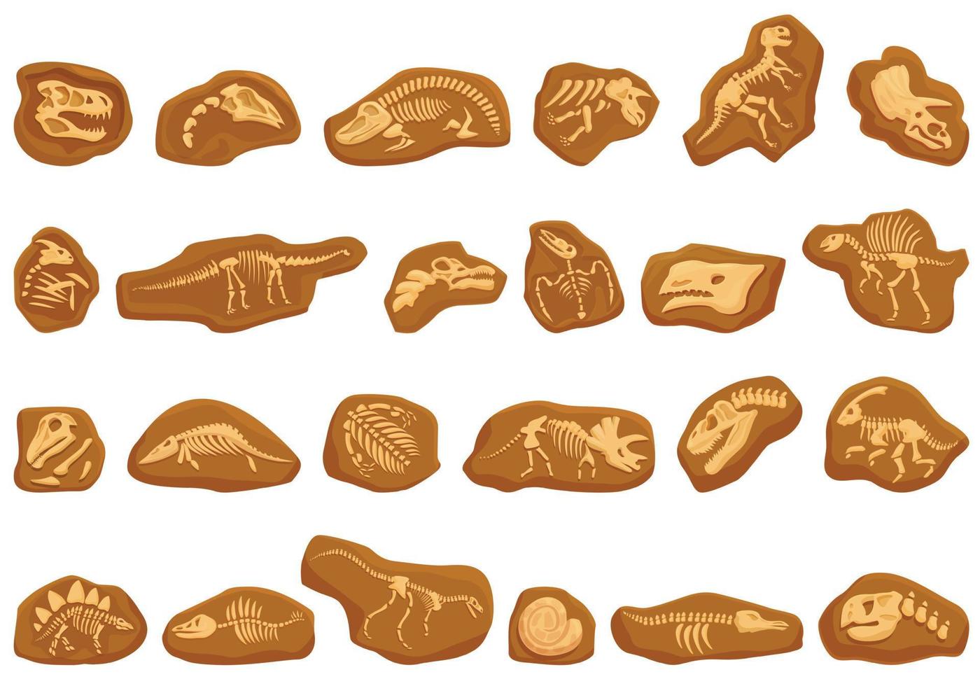 Dinosaur fossil icons set cartoon vector. Nature education vector