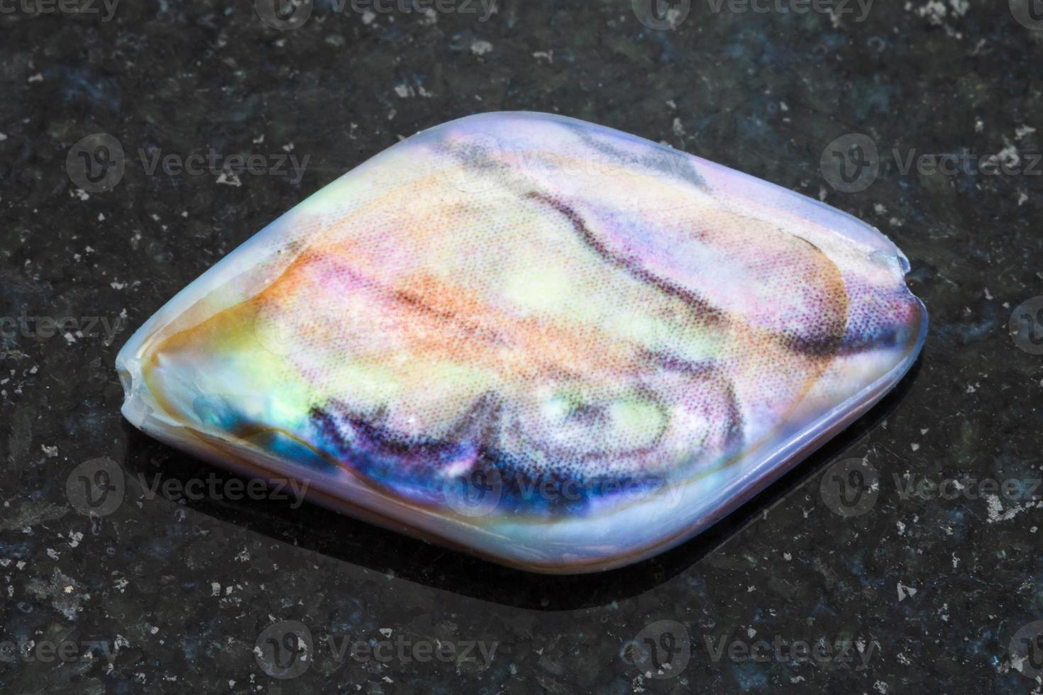 bead from Abalone haliotis shell on dark photo