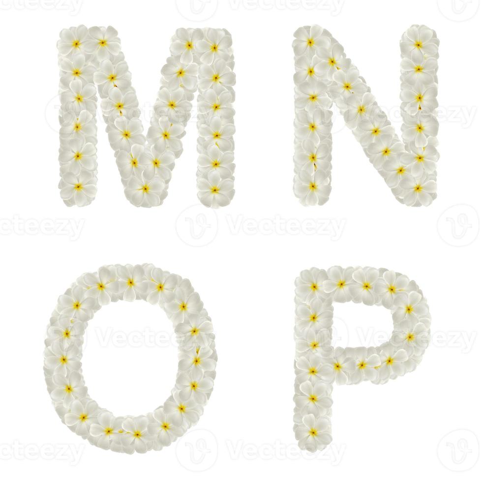 Letters made of tropical flowers frangipani isolated ,MNOP photo