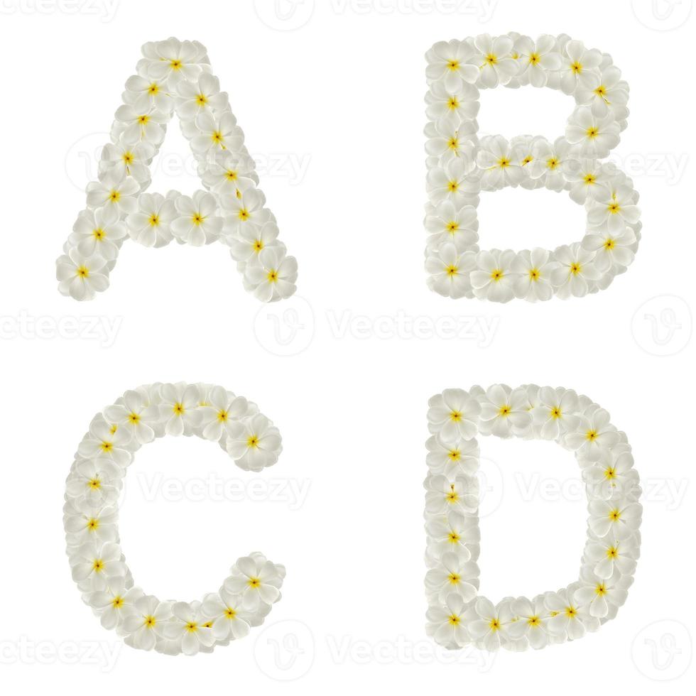 letras hechas de flores tropicales frangipani aisladas, abcd foto