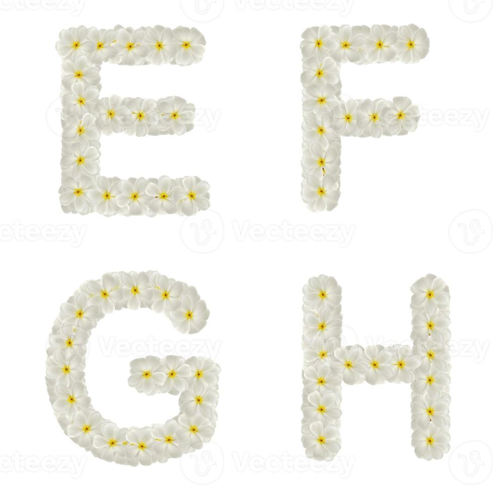 letras hechas de flores tropicales frangipani aisladas, efgh foto