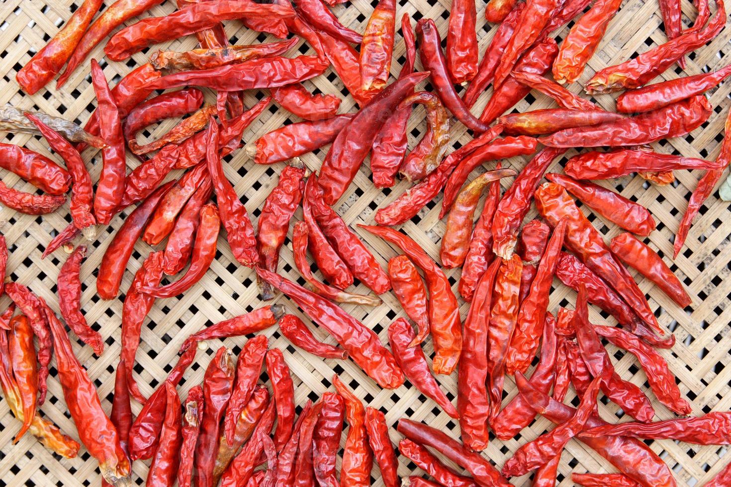Red hot chili peppers drying photo