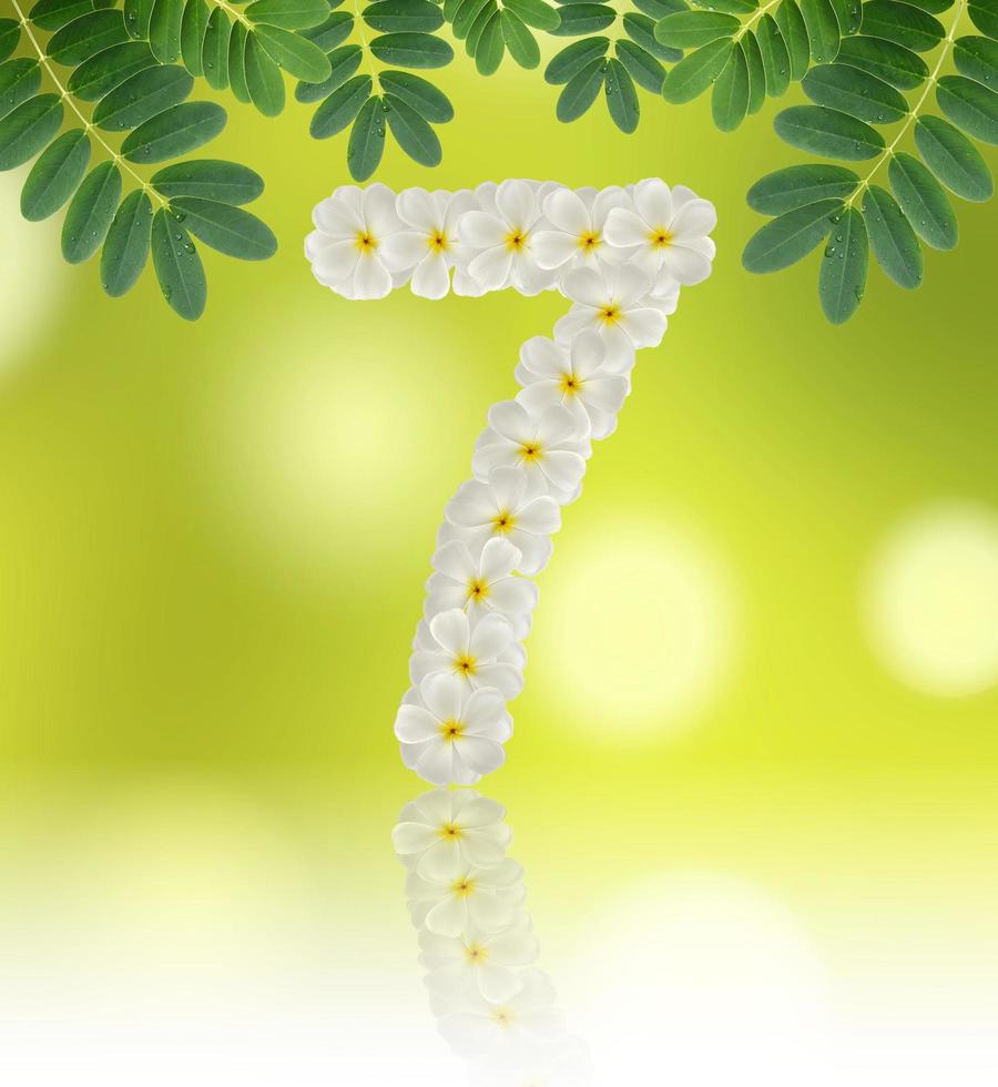 Numbers seven made of tropical flowers frangipani on natural background photo