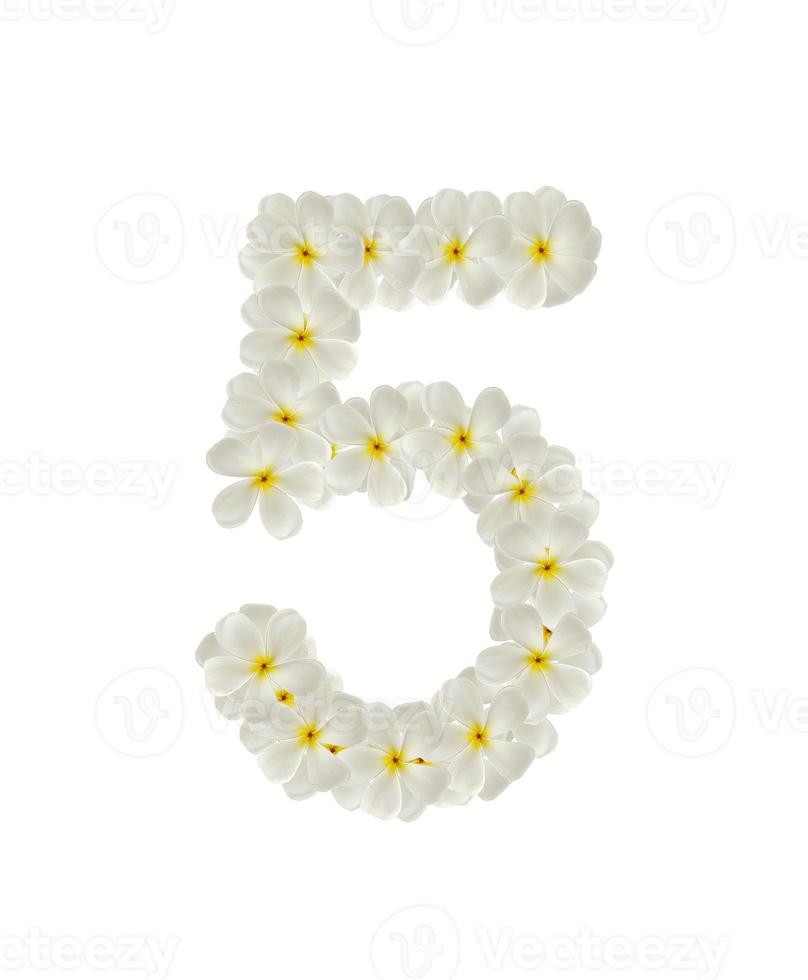 Numbers five made of tropical flowers frangipani isolated on white photo