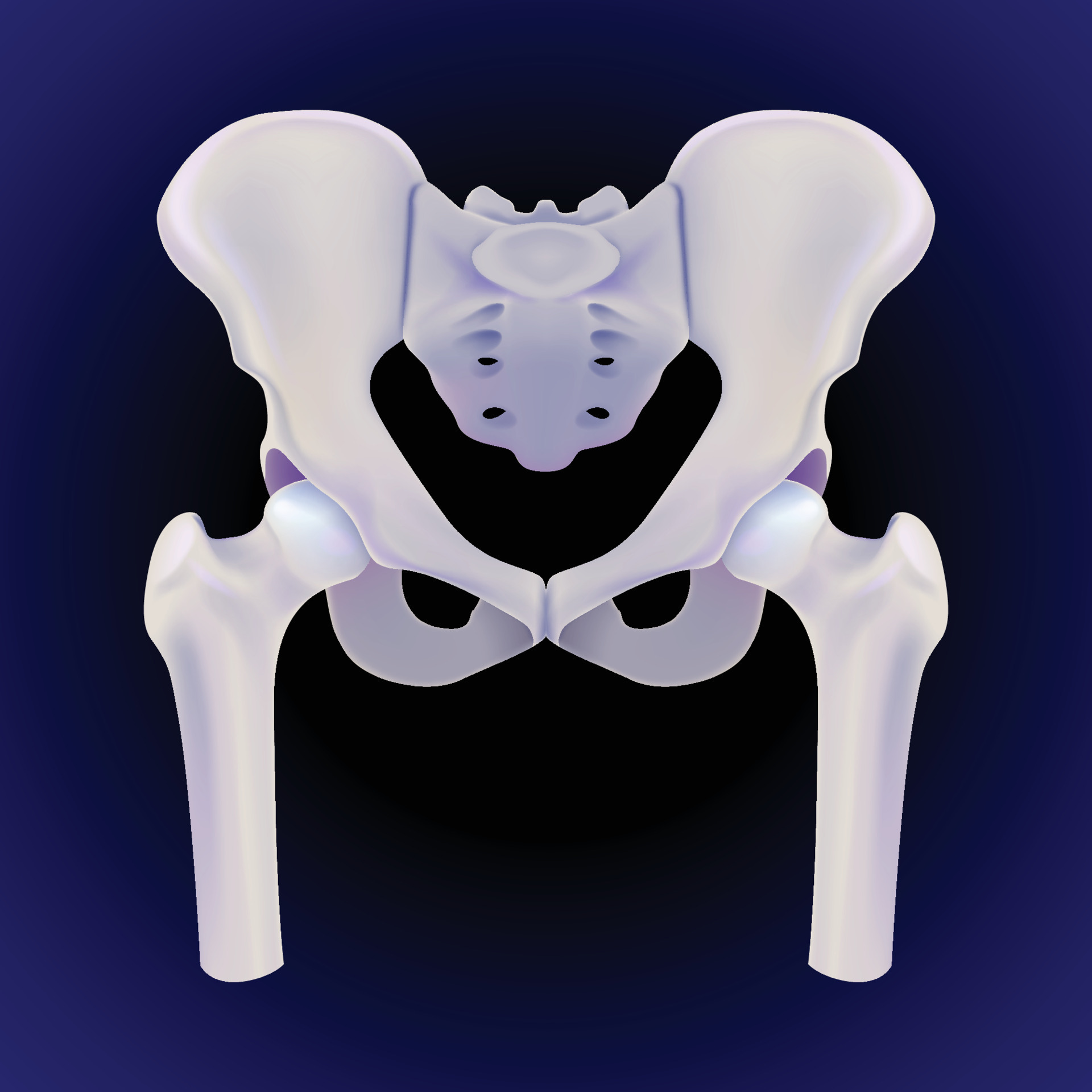 A 3D illustration of the complete front view of the human hip bone on a