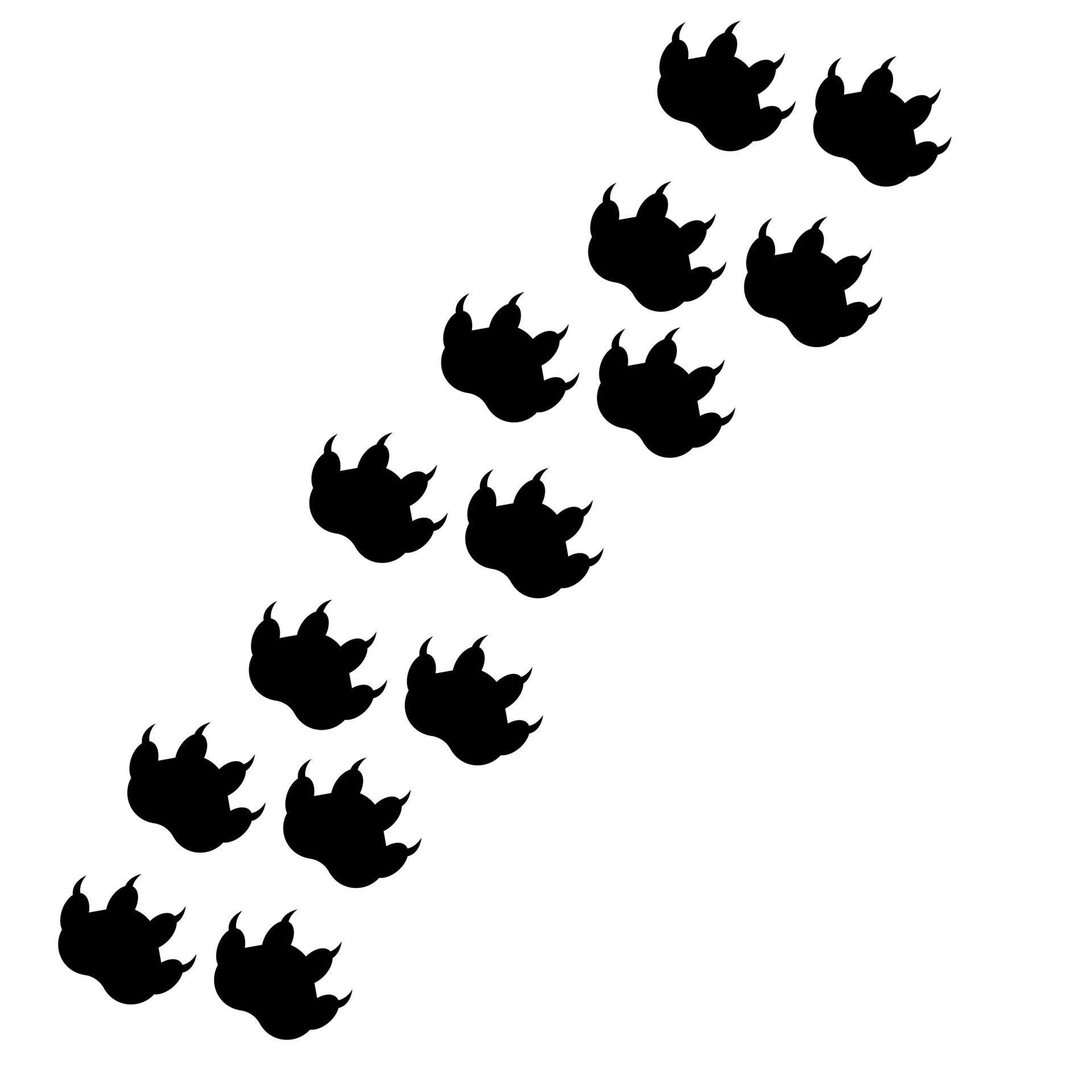 Black dog tracks. Vector illustration 13402967 Vector Art at Vecteezy