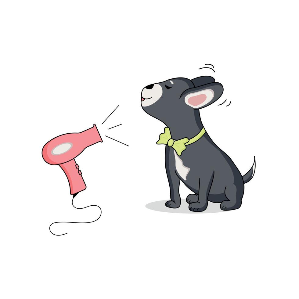 Illustration of a grey sitting dog with a yellow hair dryer collar. Grooming vector