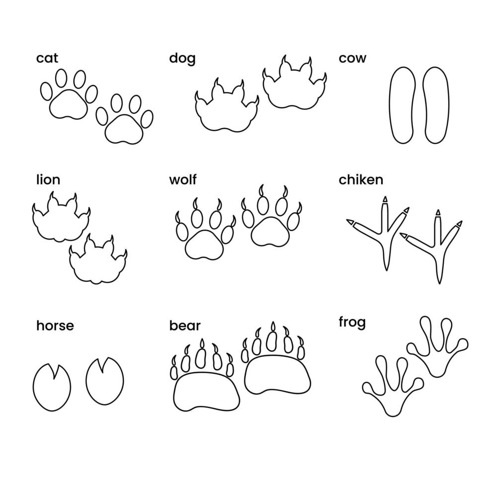 Set of different paws of animals in line style. Vector illustration