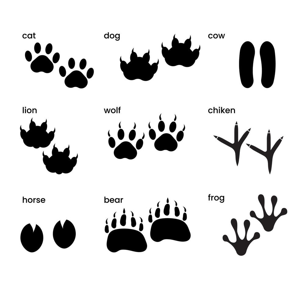 A set of different silhouettes of paws of animals. Vector illustration