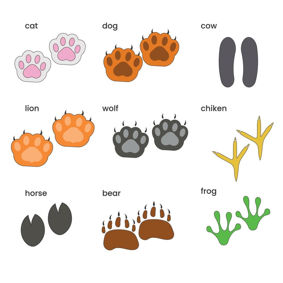 Set of different colored paws of animals. Vector illustration