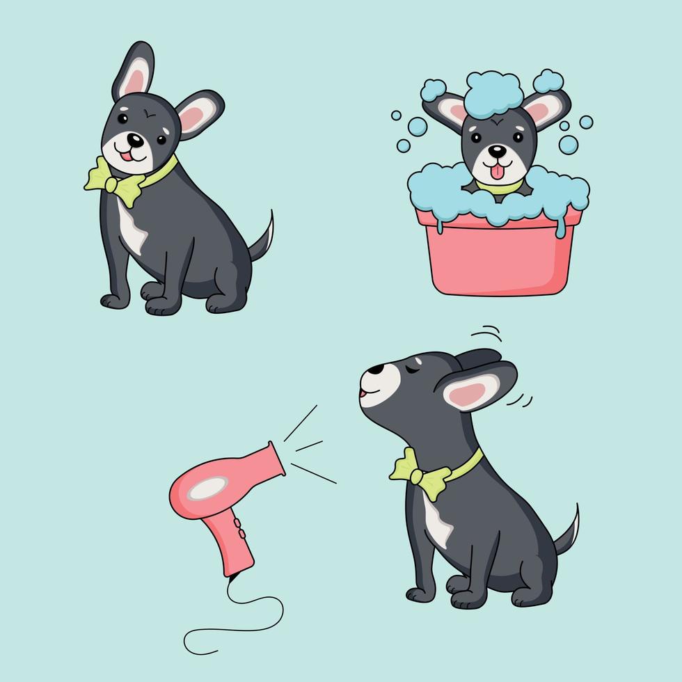 Set Dog character illustrations vector