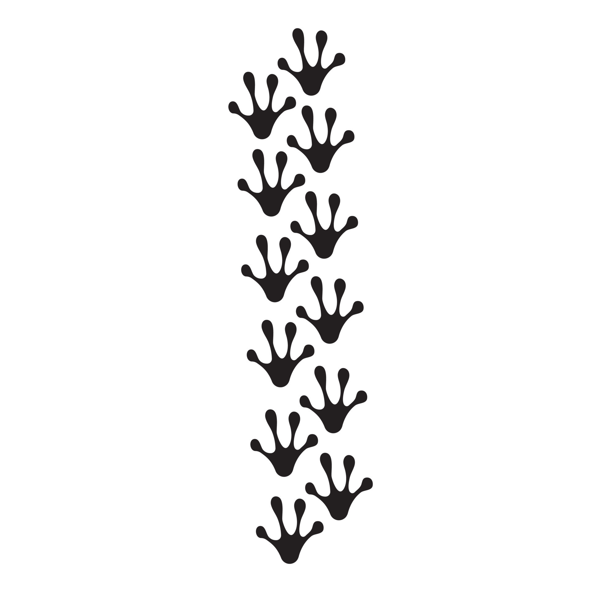 Black frog footprints. Vector illustration 13403191 Vector Art at Vecteezy